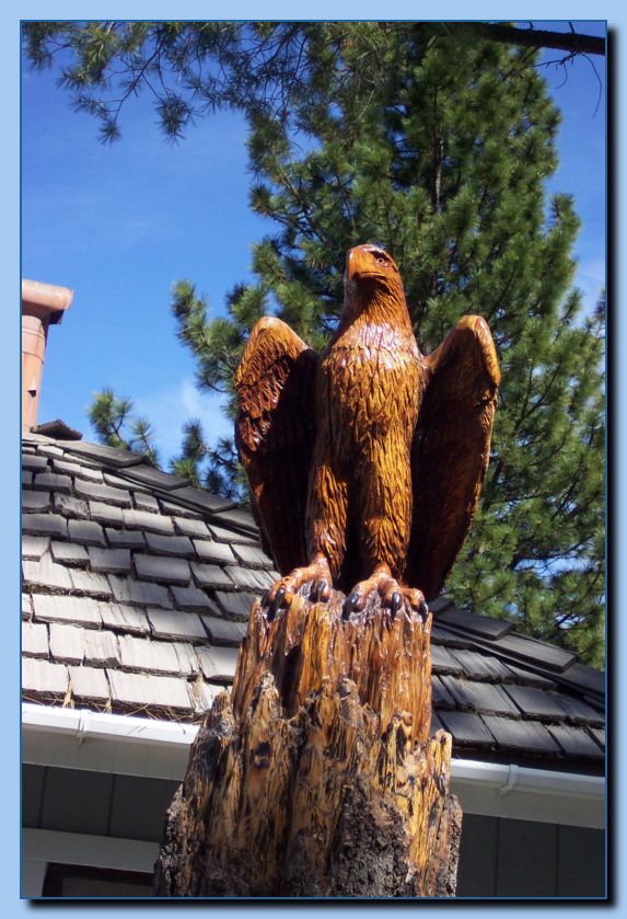 2-22 eagle  perched, half-spread wings-archive